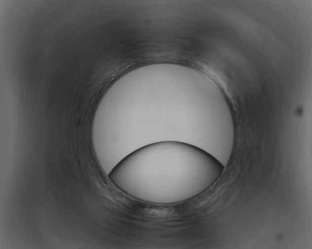 X0000097800069200803140745
