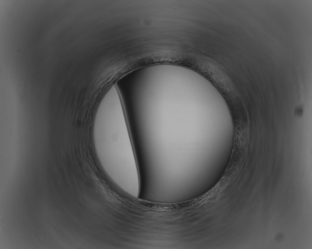 X0000097800070200803140745