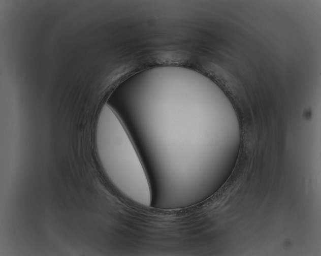 X0000097800071200803140745