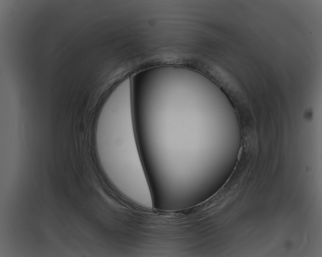 X0000097800072200803140745