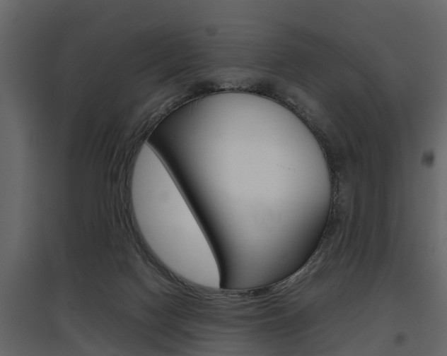 X0000097800074200803140745