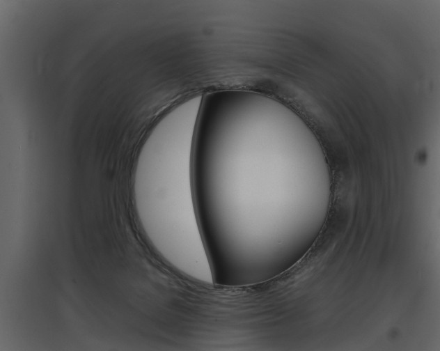 X0000097800076200803140745