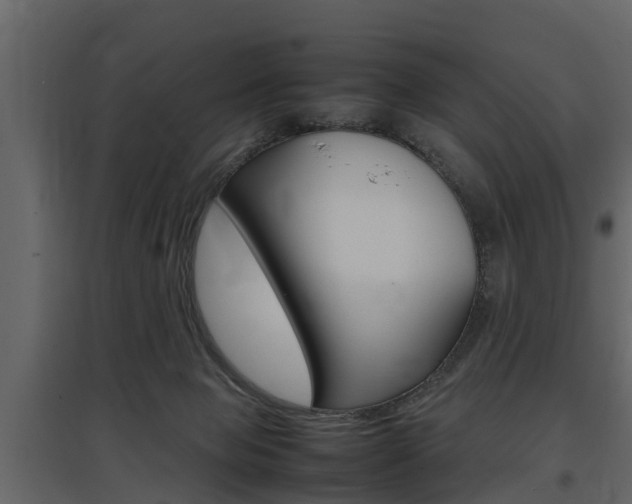 X0000097800077200803140746