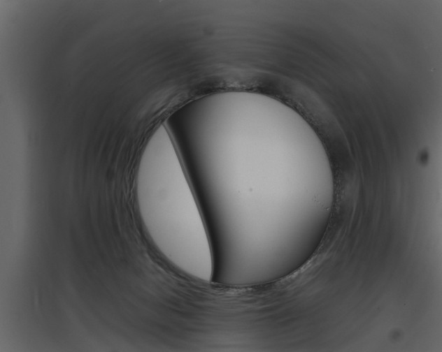 X0000097800078200803140746