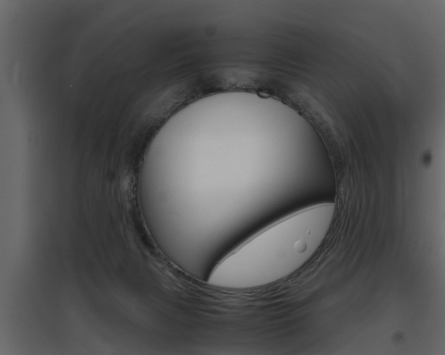 X0000097800079200803140746