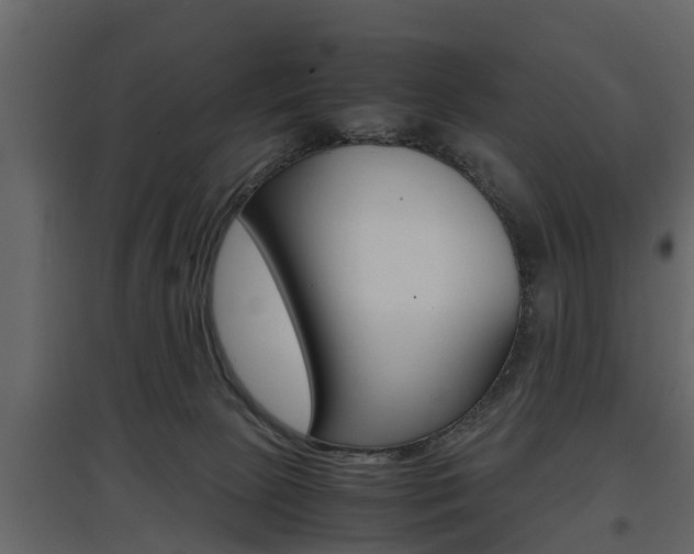 X0000097800081200803140746