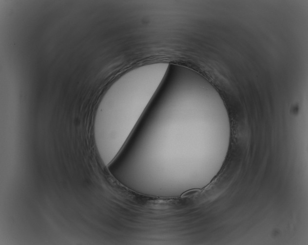 X0000097800082200803140746