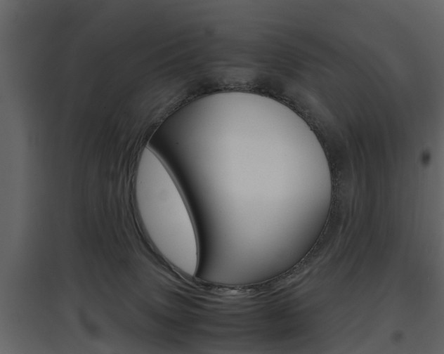 X0000097800083200803140746