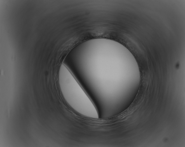 X0000097800085200803140746