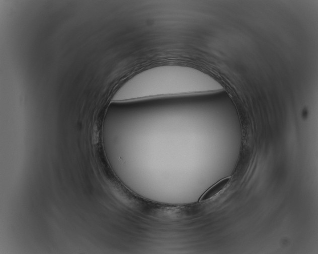 X0000097800086200803140746