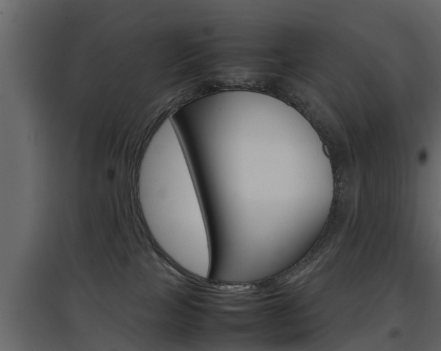 X0000097800089200803140746