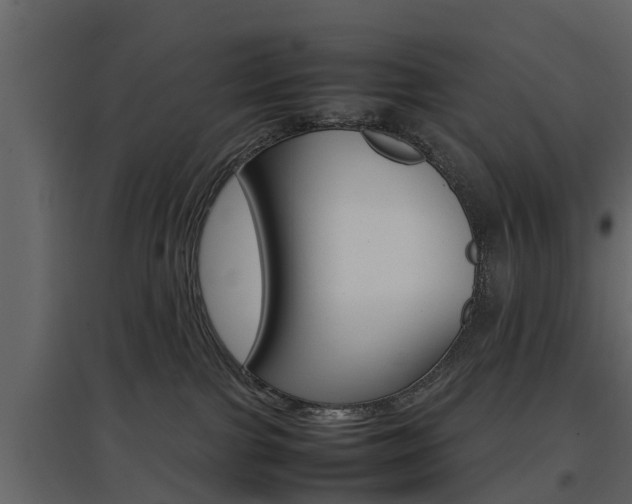 X0000097800091200803140746