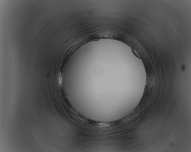 X0000097800095200803140746