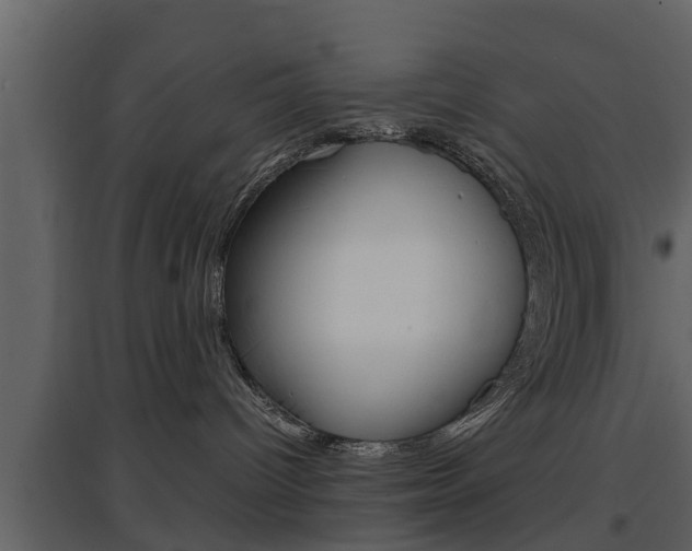 X0000097800096200803140746