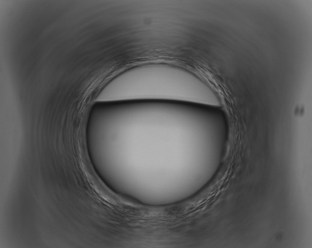 X0000097800097200803140745