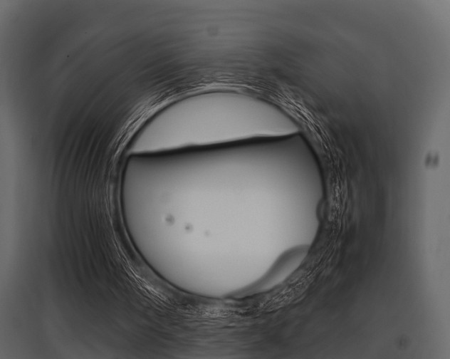 X0000097800098200803140745