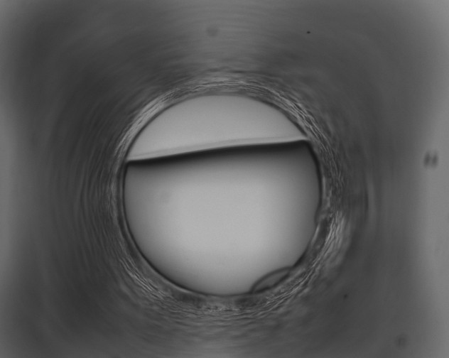X0000097800099200803140745