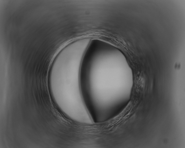 X0000097800100200803140745