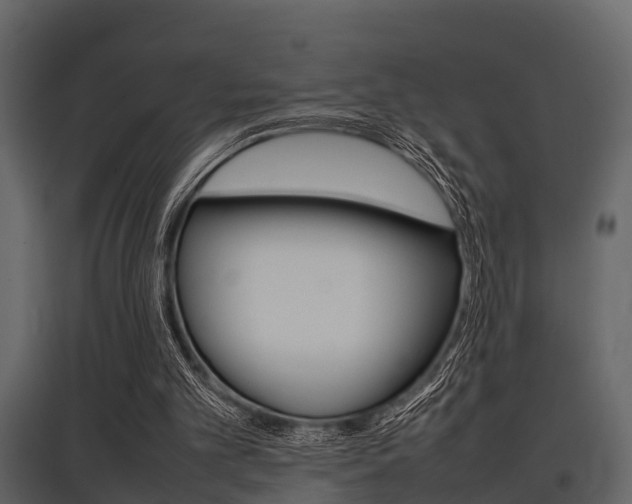 X0000097800101200803140745