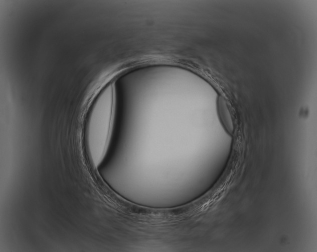 X0000097800103200803140745