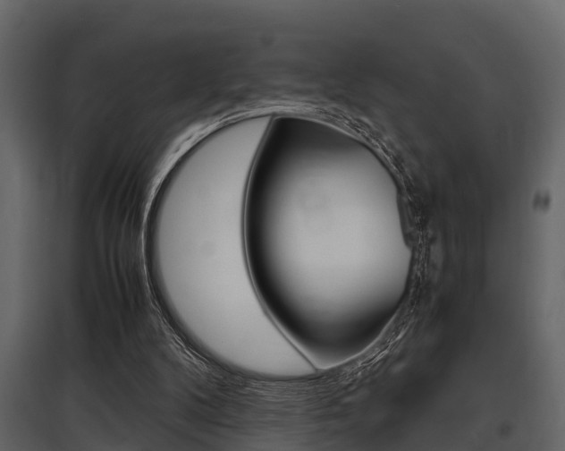 X0000097800104200803140745