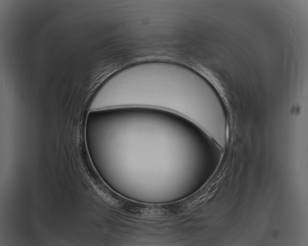 X0000097800105200803140745