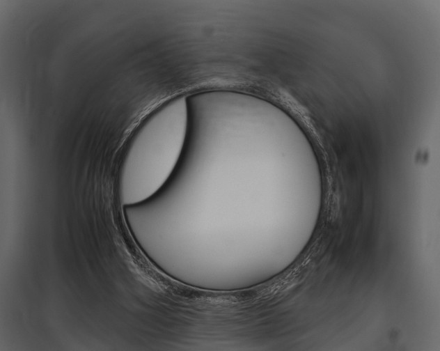 X0000097800106200803140745