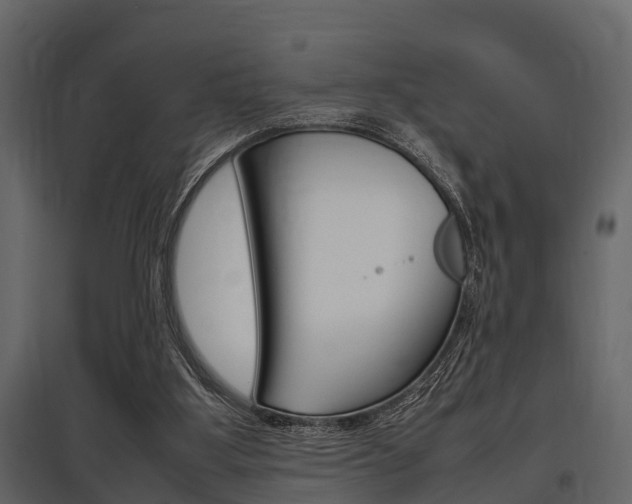 X0000097800107200803140745
