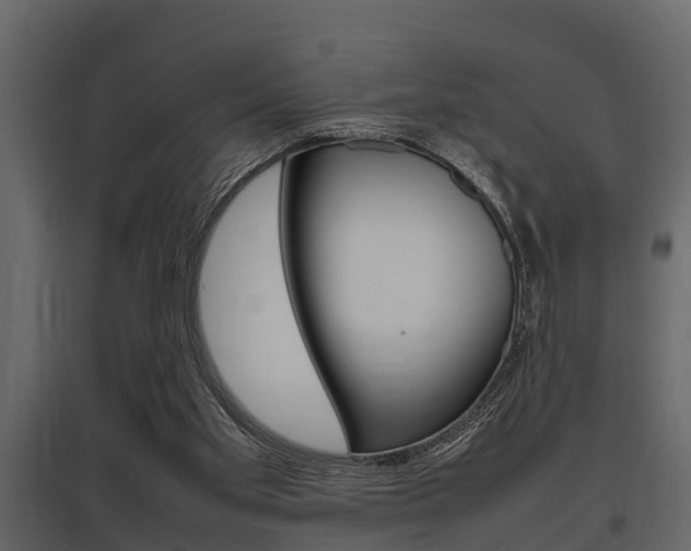 X0000097800109200803140745