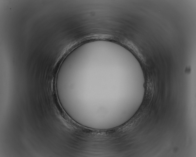 X0000097800110200803140745