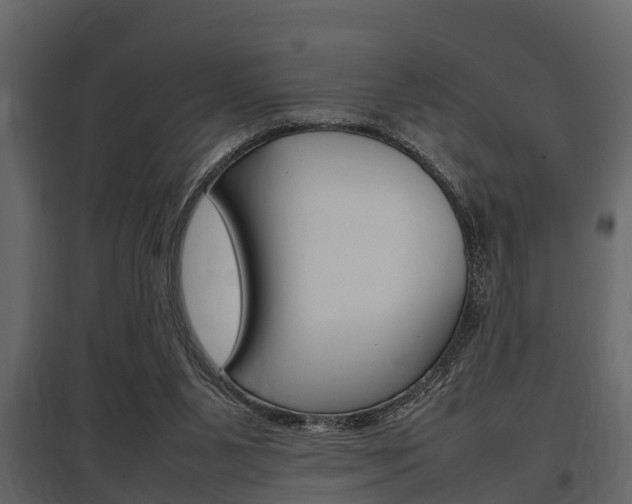 X0000097800111200803140745