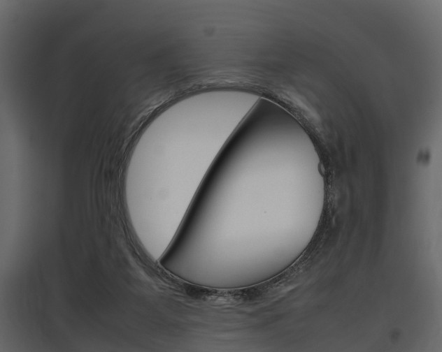 X0000097800115200803140745