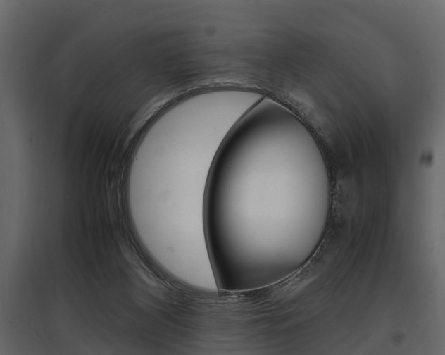 X0000097800116200803140745