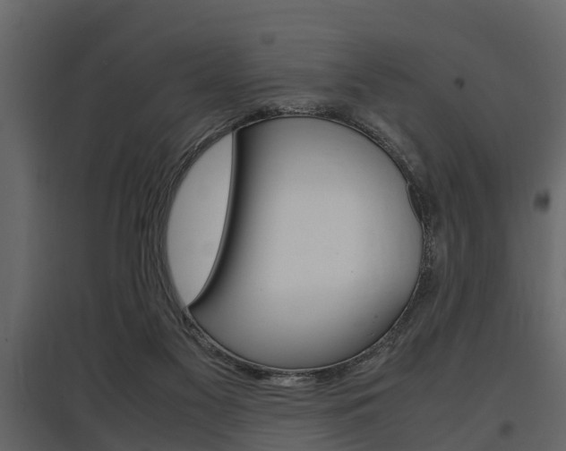 X0000097800117200803140745