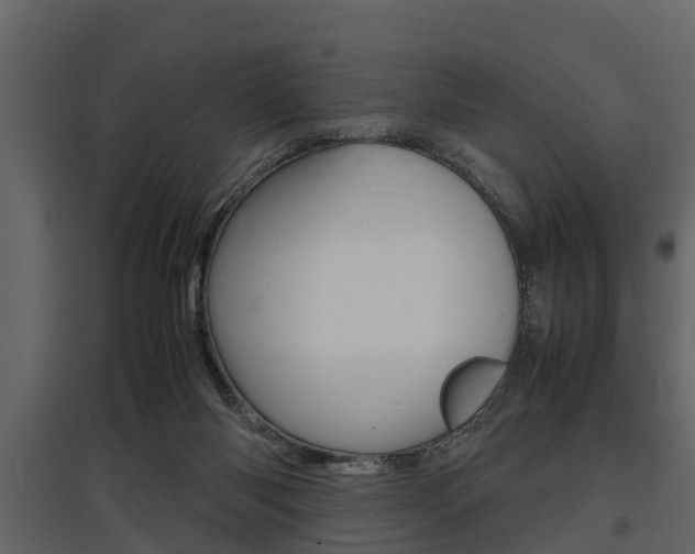 X0000097800118200803140745