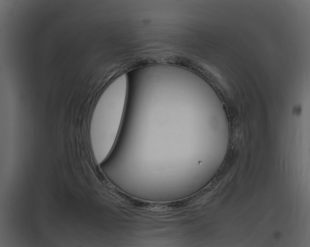 X0000097800121200803140745