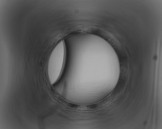 X0000097800123200803140745