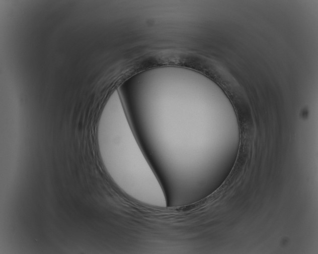 X0000097800125200803140745