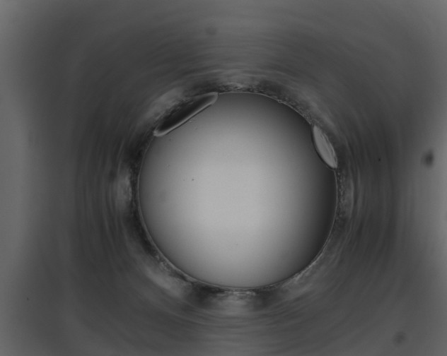 X0000097800128200803140745