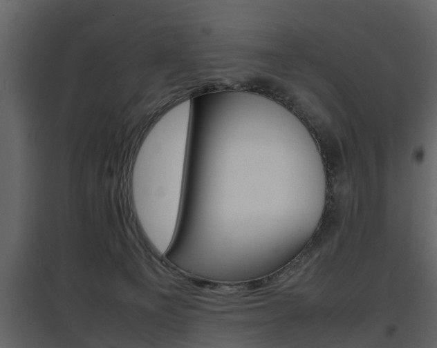 X0000097800129200803140745