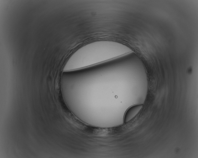 X0000097800131200803140745