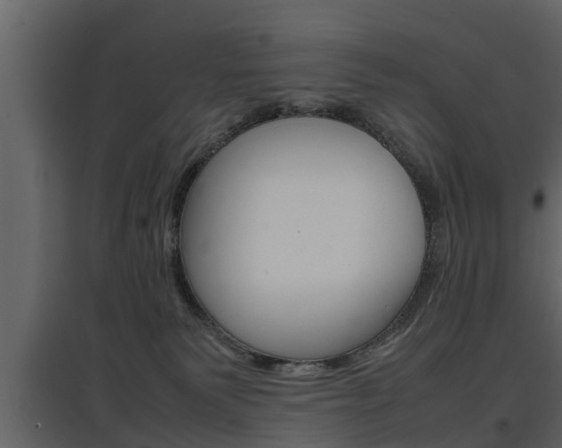 X0000097800135200803140745
