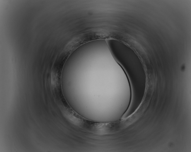X0000097800136200803140745
