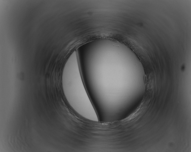 X0000097800140200803140745