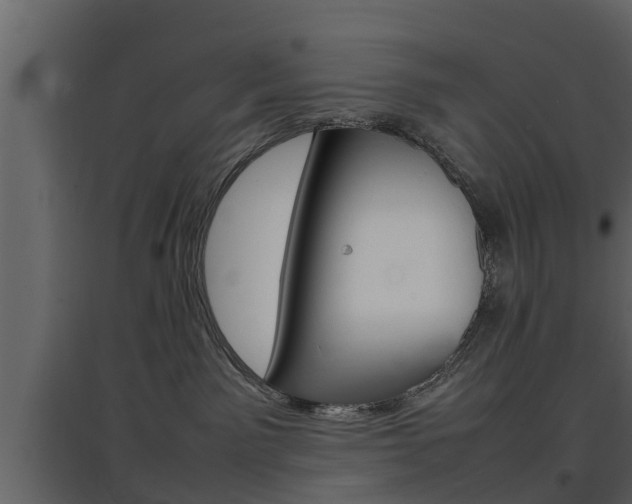 X0000097800141200803140744
