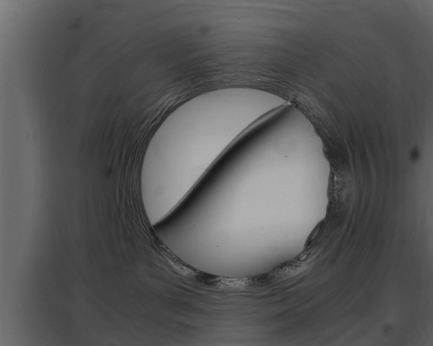 X0000097800143200803140744