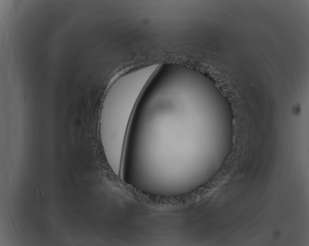 X0000097800144200803140744
