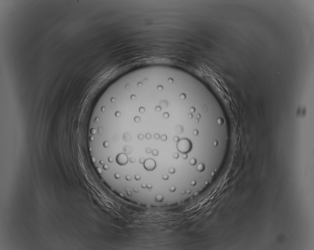 X0000097800145200803140744