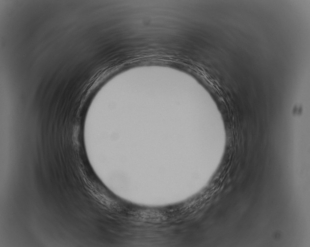 X0000097800146200803140744