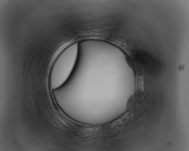 X0000097800147200803140744